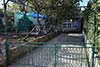 Private apartments Supetar, cheap apartments Brac